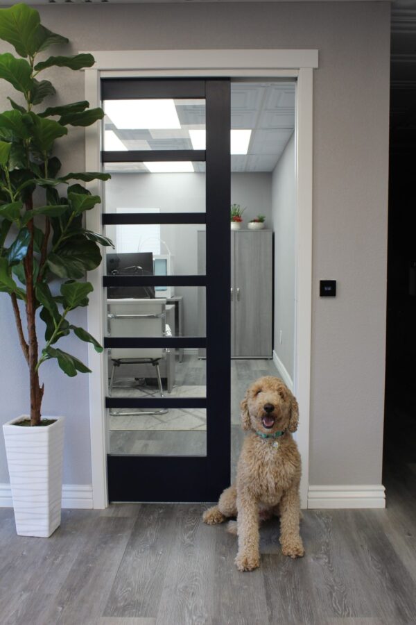 WAAY™ Automatic Pocket Door 6'8"